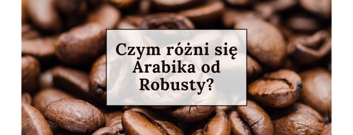 Odmiany kawy, czym jest Arabica i Robusta?